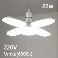 Cold White 220V